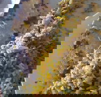 Horsham Masala Indian Restaurant - Accommodation Batemans Bay