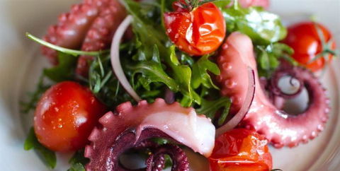 Afghan Valley Restaurant - Accommodation Batemans Bay 9