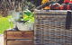 Greenback Eatery - thumb 13