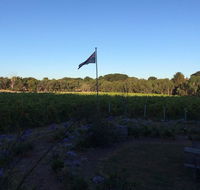 Lazzar Wines - Accommodation Batemans Bay
