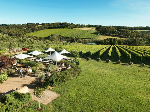 Montalto Restaurant - Accommodation Batemans Bay 0
