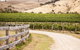 McIvor Estate Cellar Door - thumb 0