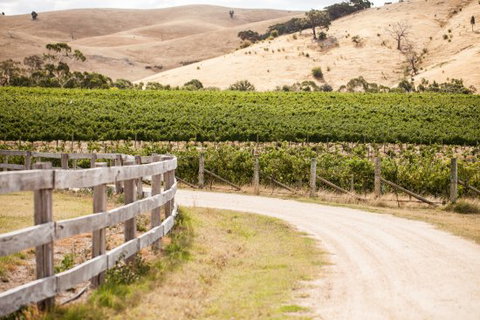 McIvor Estate Cellar Door - Accommodation Batemans Bay 0