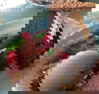 Burnt Orange - Accommodation Batemans Bay