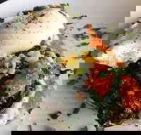 Open Circus - Accommodation Batemans Bay