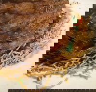 Lang Suan Thai Street Food - Accommodation Batemans Bay