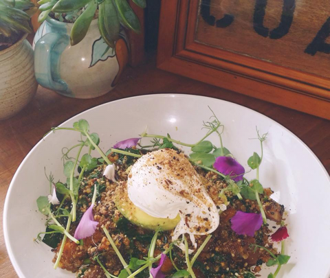 The Shak Organic Cafe & Wine Bar - Accommodation Batemans Bay 0