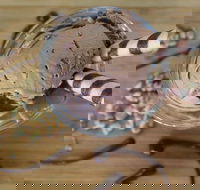 PN's Daily Scoop - Accommodation Batemans Bay