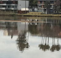 The Melting Room - Accommodation Batemans Bay