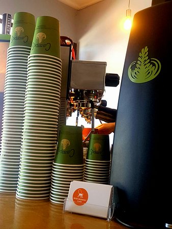 Wise Monkey Cafe - Accommodation Batemans Bay 0