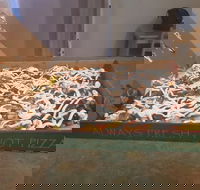 Flaming Bird - Accommodation Batemans Bay