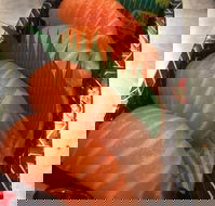 Sushi In - Accommodation Batemans Bay