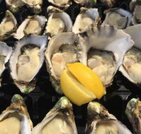 The Oyster Shed - Accommodation Batemans Bay