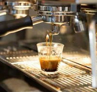Black Bear Cafe - Accommodation Batemans Bay