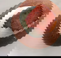 Bounty - Accommodation Batemans Bay