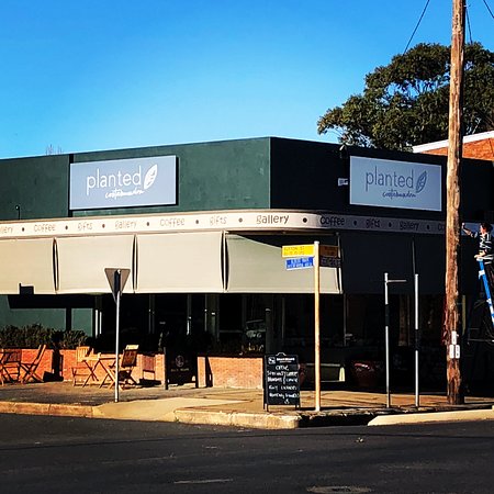 Planted Cootamundra - Accommodation Batemans Bay 0