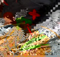 Thai Square Springwood - Accommodation Batemans Bay