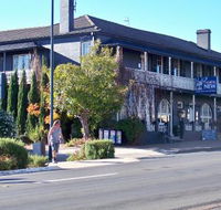 Coachwood  Cedar Motor Hotel Restaurant - Accommodation Batemans Bay