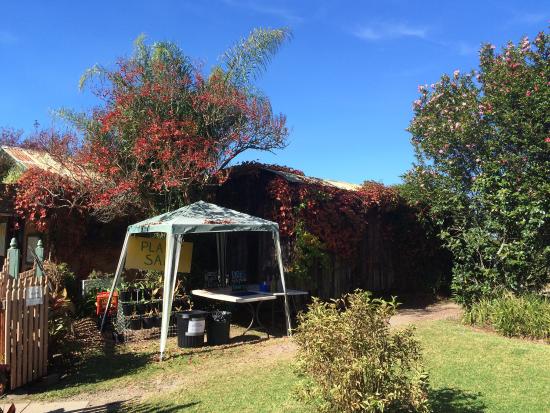 Bilpin NSW Accommodation Batemans Bay