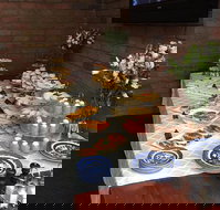 Colony Inn Hotel - Accommodation Batemans Bay