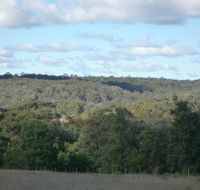 U Saucey Thing - Accommodation Batemans Bay