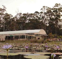 Abundance Cafe and Garden Centre - Accommodation Batemans Bay