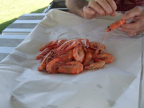 Ballina Fishermen's Co-op - Accommodation Batemans Bay 0