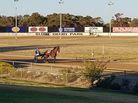 Paceway - Accommodation Batemans Bay 0
