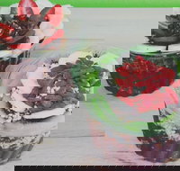 Fresh Blend - Mosman - Accommodation Batemans Bay