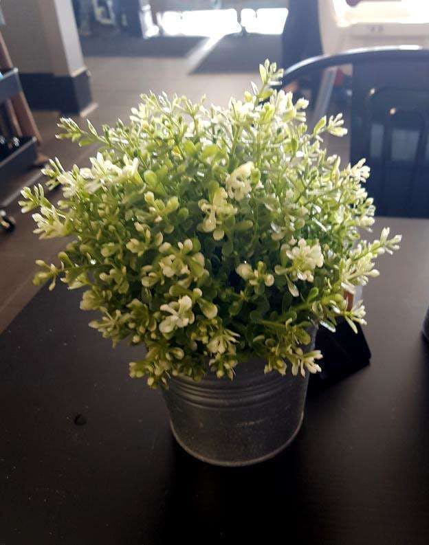 Mount Richon WA Accommodation Batemans Bay