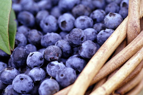 Drum Drum Blueberry Farm - Accommodation Batemans Bay 0