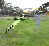 Heard it on the Grapevine - Accommodation Batemans Bay