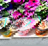 Starbucks - Mascot - Accommodation Batemans Bay