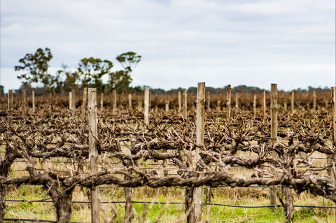 The Blok Coonawarra - Accommodation Batemans Bay 1