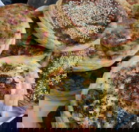 The Re Store Northbridge - Accommodation Batemans Bay