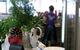 Food Angel Cafe - thumb 1