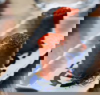 MoVida  The Airport - Mascot - Accommodation Batemans Bay