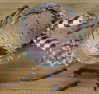 PN's Daily Scoop - Accommodation Batemans Bay