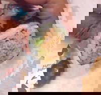 Quiksilver Bar 61 - Accommodation Batemans Bay