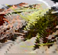 Dede Indonesian and Thai - Accommodation Batemans Bay