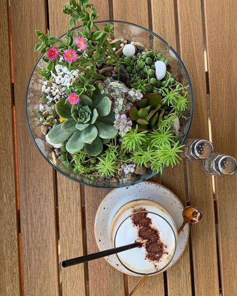 One Little Place Cafe - Accommodation Batemans Bay 0