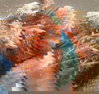 On Shore - Accommodation Batemans Bay