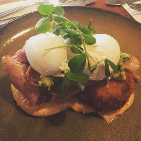 A Fan's Notes - Accommodation Batemans Bay 0