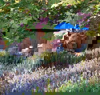 Macquariedale Organic Wines - Accommodation Batemans Bay