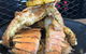 The Fish House - thumb 0