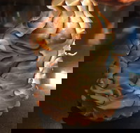 Mocha Bella - Accommodation Batemans Bay