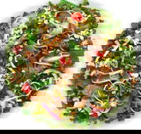 Sumo Salad - Glebe - Accommodation Batemans Bay