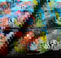 Sushi Sushi - Helensvale - Accommodation Batemans Bay