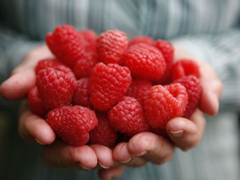 Christmas Hills Raspberry Farm Cafe - Accommodation Batemans Bay 0