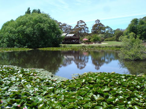Christmas Hills Raspberry Farm Cafe - Accommodation Batemans Bay 1